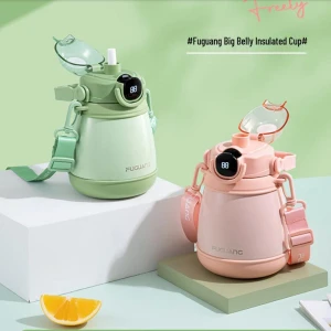 Умная термобутылка с дисплеем температуры — Умные бутылки для воды, Fuguang