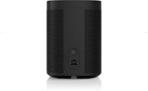 Умная колонка с голосовым управлением — Умные колонки, Sonos