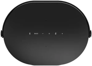 Brane X Умная портативная колонка — Умные колонки, Brane Audio