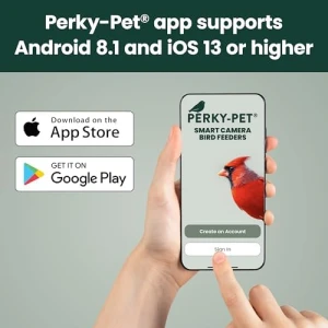 Умная кормушка для птиц с камерой — Умные кормушки для птиц, Perky-Pet