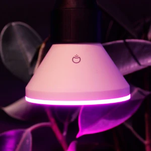 Умная светодиодная лампа PAR38, RGB + теплый белый — Умные лампы, LIFX