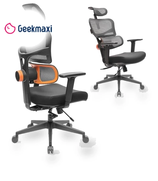 Ergonomic Chair with Adaptive Lower Back Support, Adjustable Armrest and Headrest — Desk Chairs, NEWTRAL