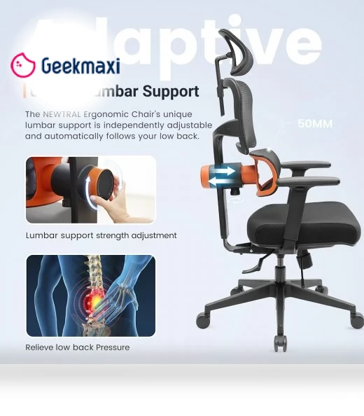 Ergonomic Chair with Adaptive Lower Back Support, Adjustable Armrest and Headrest — Desk Chairs, NEWTRAL