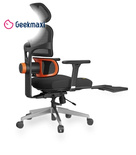 Ergonomic Chair with Lumbar Support, Adjustable Armrest, Headrest, Footrest, 4D Mesh — Desk Chairs, NEWTRAL