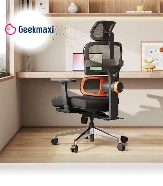 Ergonomic Chair with Lumbar Support, Adjustable Armrest, Headrest, Footrest, 4D Mesh — Desk Chairs, NEWTRAL