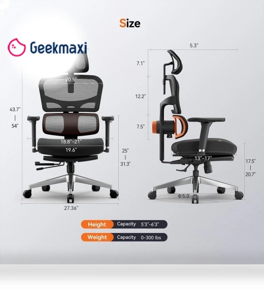Ergonomic Chair with Lumbar Support, Adjustable Armrest, Headrest, Footrest, 4D Mesh — Desk Chairs, NEWTRAL