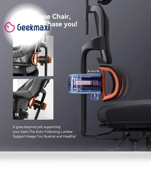 Ergonomic Chair with Lumbar Support, Adjustable Armrest, Headrest, Footrest, 4D Mesh — Desk Chairs, NEWTRAL