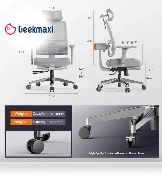Ergonomic Chair with Footrest, Auto-Following Backrest Headrest, Adaptive Lower Back Support - Gray — Desk Chairs, NEWTRAL