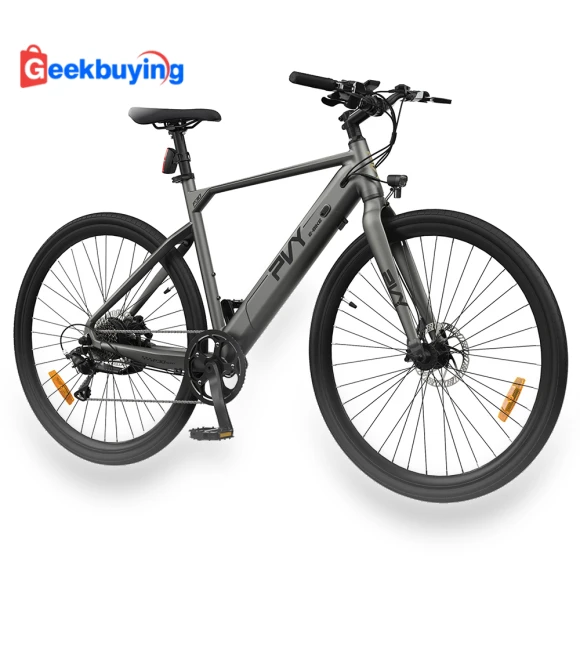 Electric Bike — Electric Self-Balancing Scooters, PVY