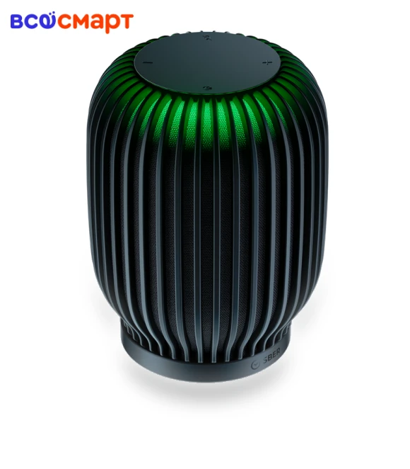 Smart Speaker — Portable Audio, Sber