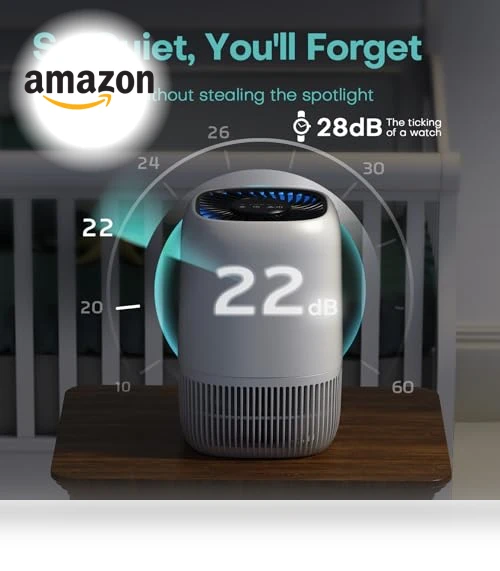 Air Purifier with H13 True HEPA Filter — Activated Carbon Air Purifiers, VOOPNU