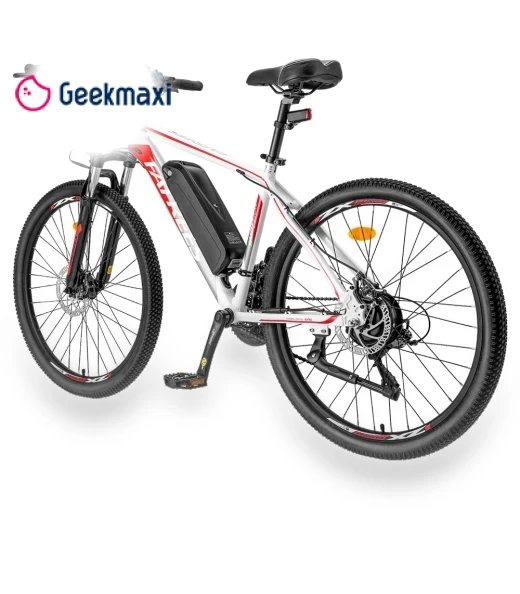 Electric Bike — Batteries, Fafrees