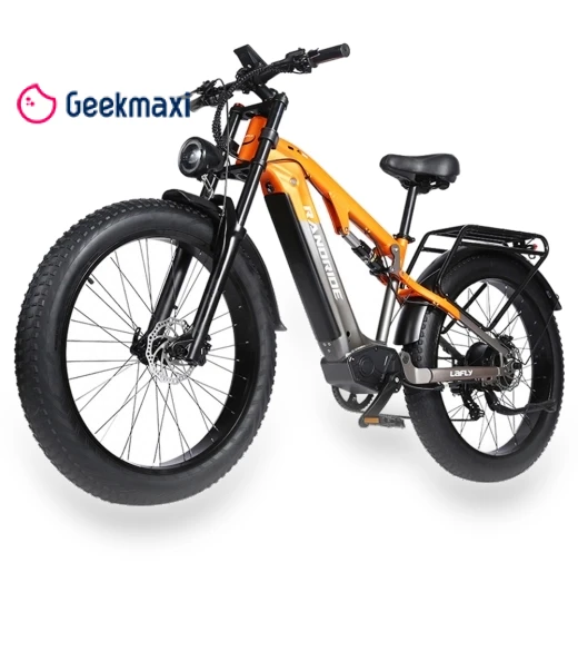 Electric Bike — Electric Vehicles, RANDRIDE