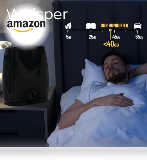 Cool Mist Humidifier — Air Moisturizers, Everlasting Comfort