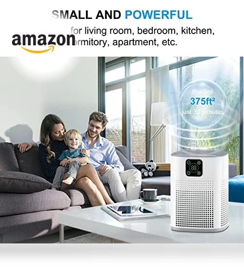 HEPA Air Purifier — Electrostatic Air Purifiers, Honeyuan