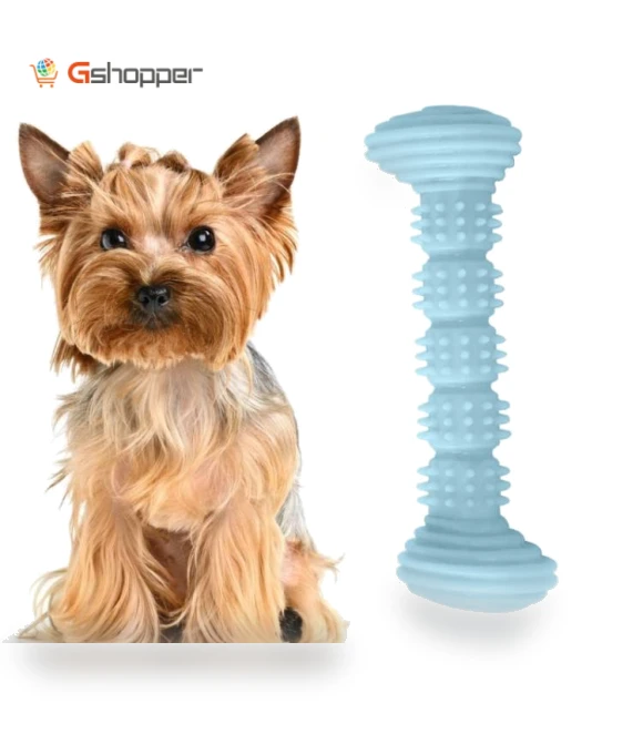 Teething Toy Chewing Dog Toothbrush Toy — Toys