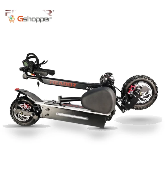 Electric Scooter — Electric Self-Balancing Scooters, Fieabor