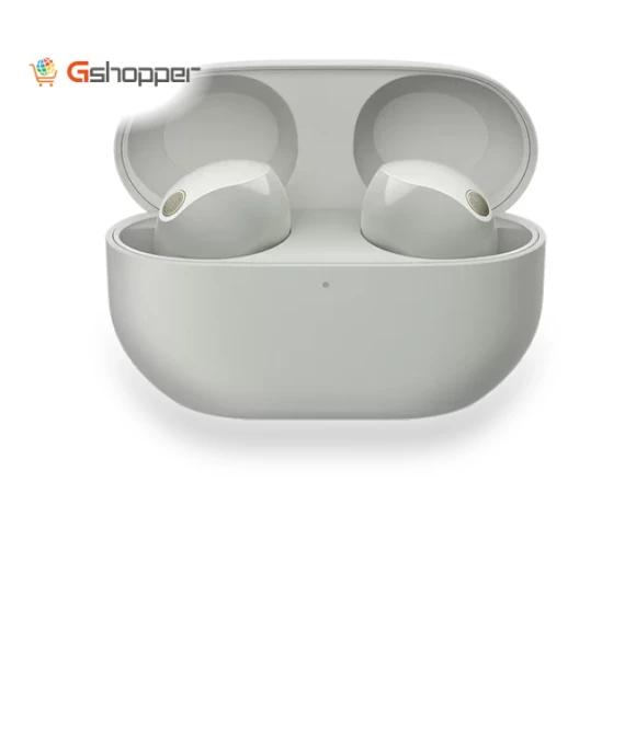 Noise-Canceling True Wireless In-Ear Headphones — Audio Gear, Sony
