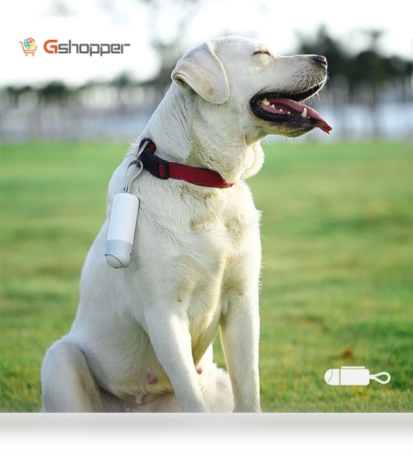 Portable Dog Toilet Bowl with LED Lighting — Purses