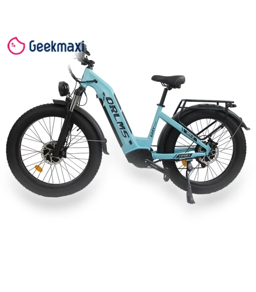 Electric Bike — Electric Self-Balancing Scooters, Orlms