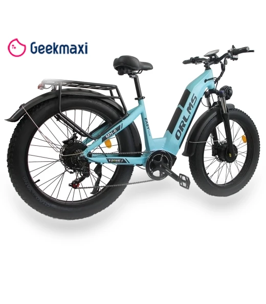Electric Bike — Electric Self-Balancing Scooters, Orlms