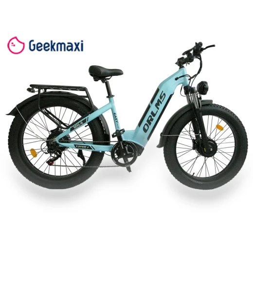 Electric Bike — Electric Self-Balancing Scooters, Orlms