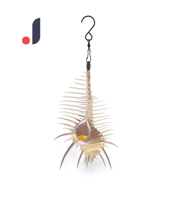 Smart Bird Feeder — Backyard Birding, Excellent stuff