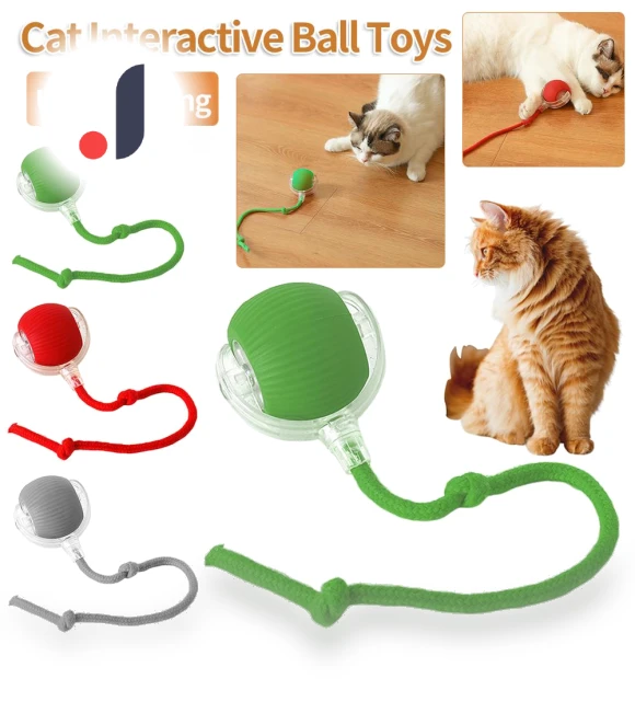 Automatic Rolling Ball Pet Toy — Balls, HOME-Auto-001