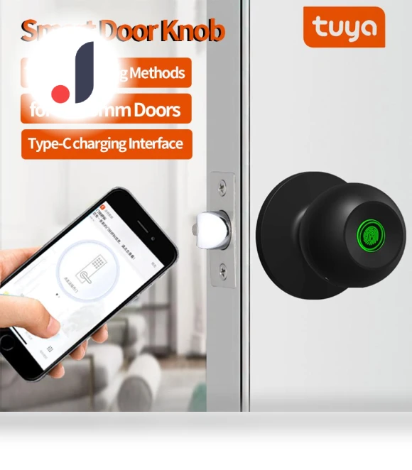 Fingerprint Door Lock — Biometric Security, HOME-Auto-001
