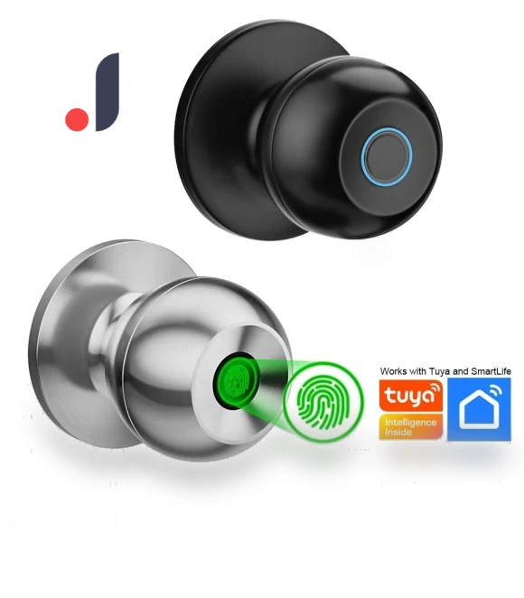 Smart Door Handle with Fingerprint — Biometric Security, Crown Global