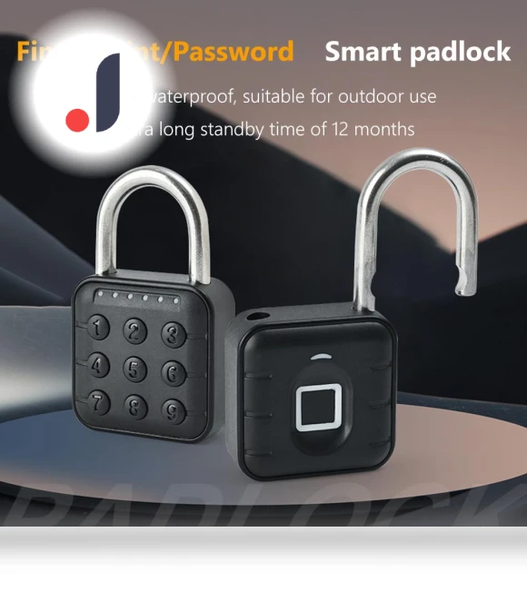Smart Biometric Door Lock — Locks, HOME-Auto-001