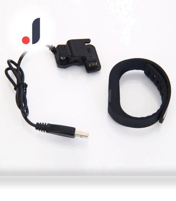 Portable Charger with USB Cable — Smartwatch Charging Solutions, EDC Toy