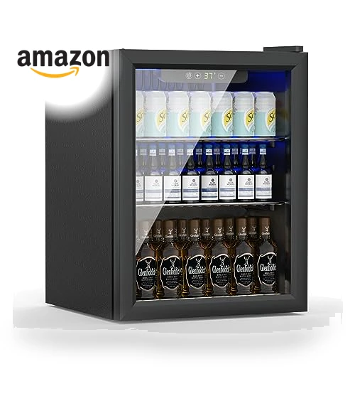 Compact Beverage Refrigerator — Mini Fridges, Erivess