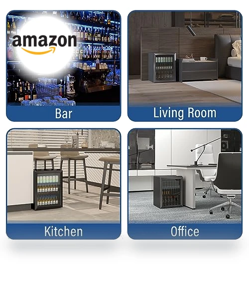 Compact Beverage Refrigerator — Mini Fridges, Erivess