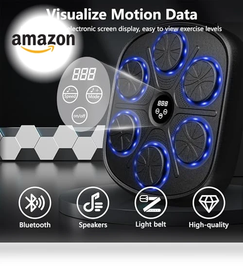 Smart Bluetooth Music Punching Machine — Boxing Training Gear, PetPong