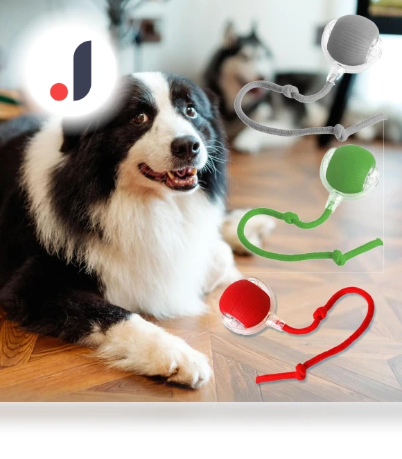 Interactive Rolling Ball Pet Toy — Cat Playthings, Appreciate