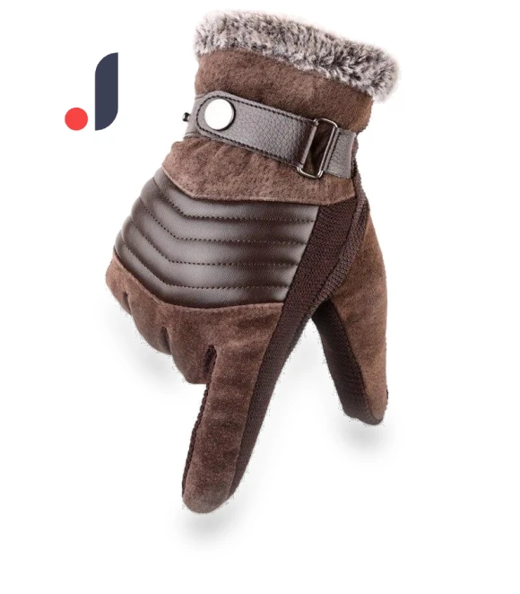 Winter Touchscreen Gloves — Gloves, Holland Zho