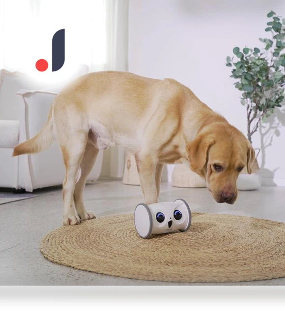 Automatic Smart Pet Toy Interactive Owl Robot — Cameras & Monitors, Yiran Furniture