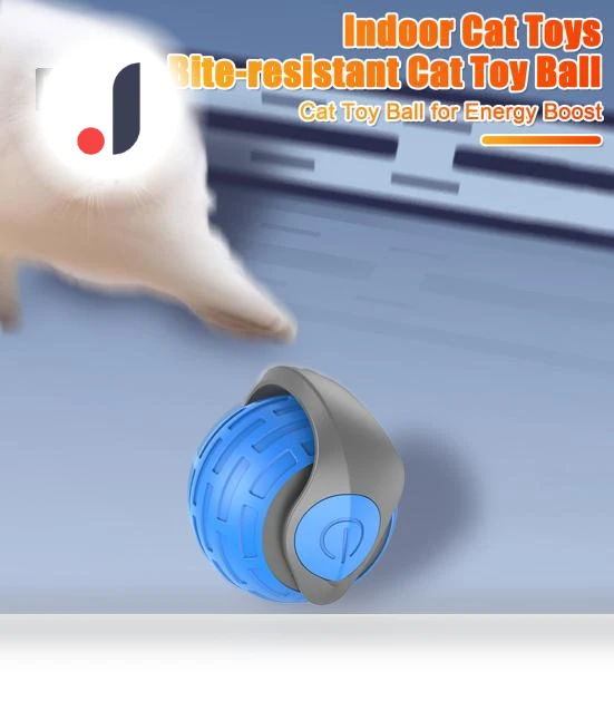 Interactive Cat Ball — Cat Playthings, Kitty Cat House