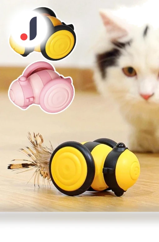Interactive Cat Toy — Cat Playthings, Super Dream Home