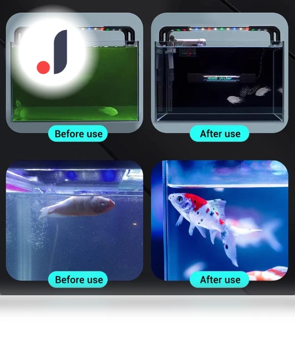 Aquarium Cleaning Light — Lights, The Home Vault