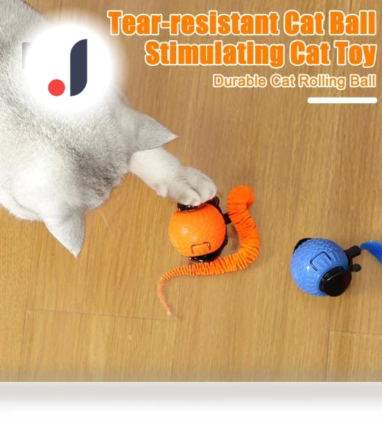 Interactive Cat Toy Rolling Ball — Cat Playthings, Kitty Cat House