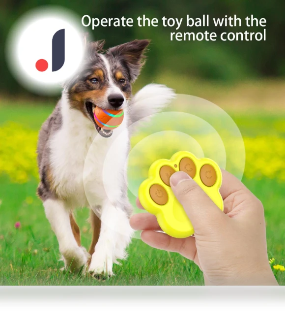 Interactive Smart Ball for Pets — Balls, Super Star Mall