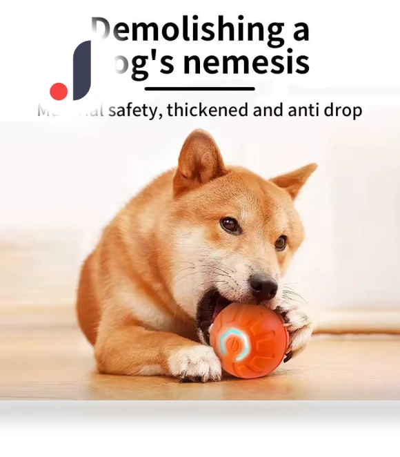 Smart Ball for Dogs — Balls, Good Household Items