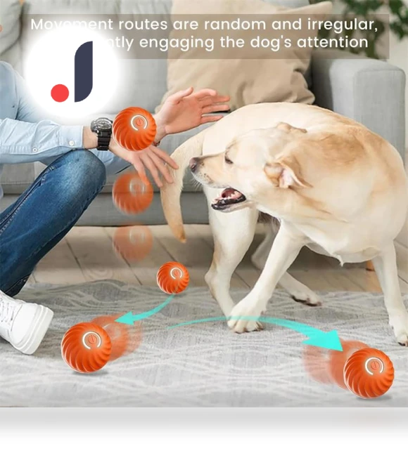 Smart Toy Ball for Dogs — Interactive Animal Companions, Super Dream Home