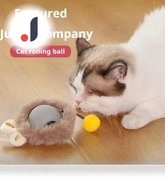 Interactive Cat Toy Ball — Cat Playthings, anruifu