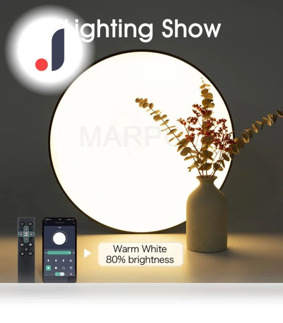 Smart Ceiling Light — Overhead Lighting, Rainbow Rain