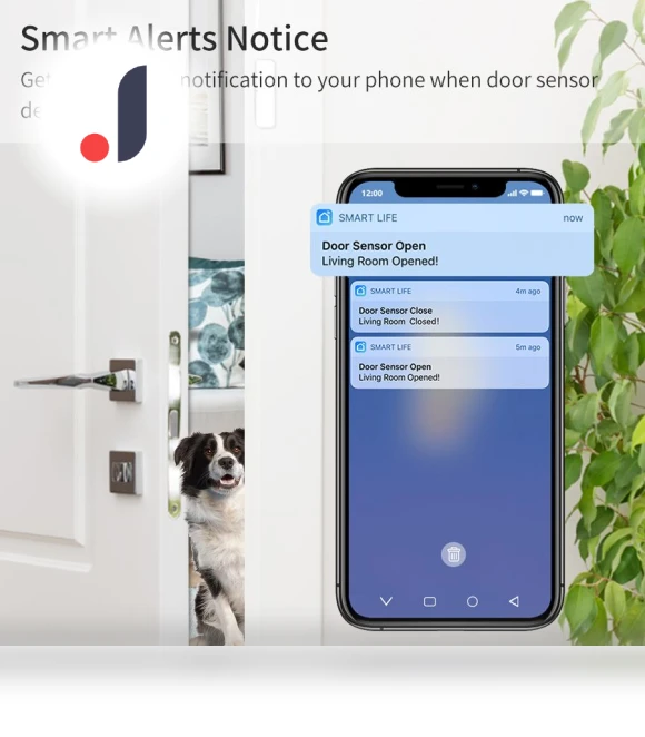Smart Door Window Sensor — Smart Home Security, Build My Home