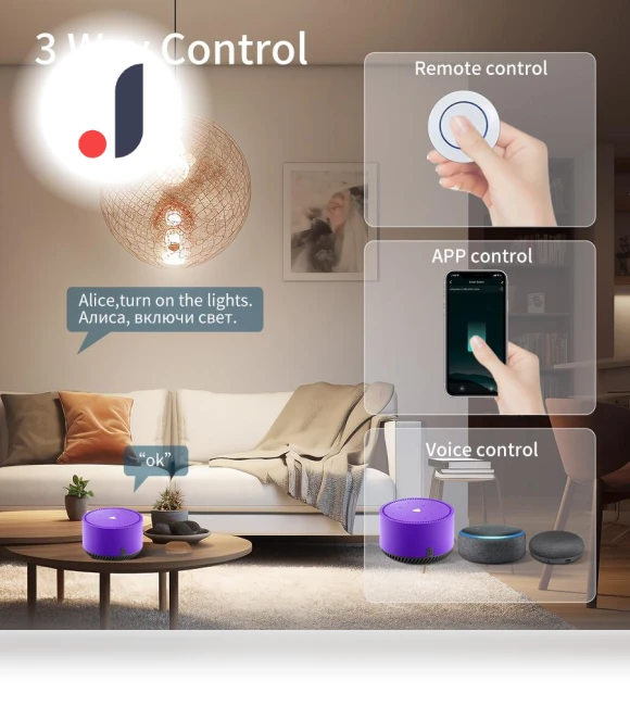 WiFi Smart Switch with RF433MHz Remote Control — Smart Home Modules, Build My Home