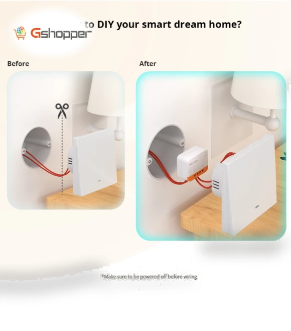 Single Fire Dual Control Smart On/Off Module Switch with Timing and Voice Control — Smart Home Modules, Sonoff